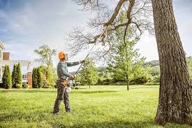 Best Utility Line Clearance  in Fairbury, NE